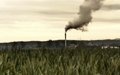 Carbon Accounting
