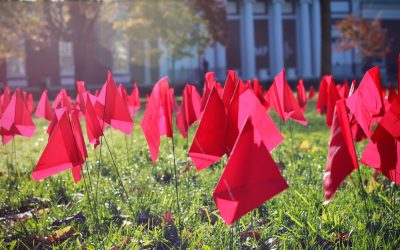 Red Flags